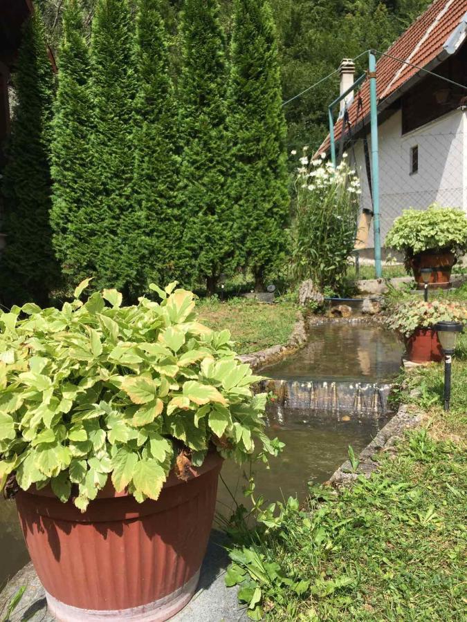 Domacinstvo Ubovic Villa Sipovo Luaran gambar