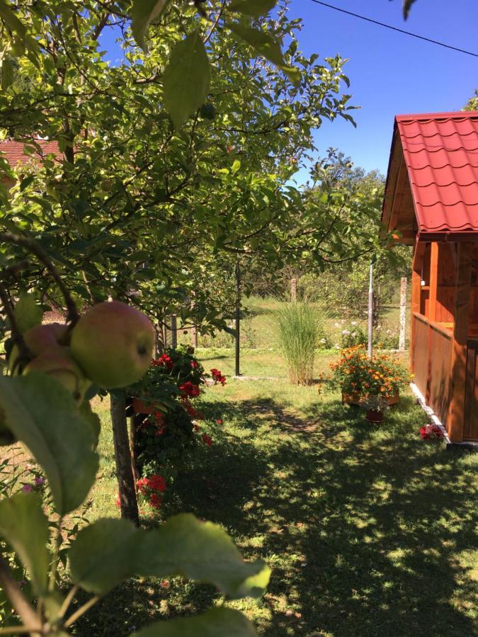 Domacinstvo Ubovic Villa Sipovo Luaran gambar